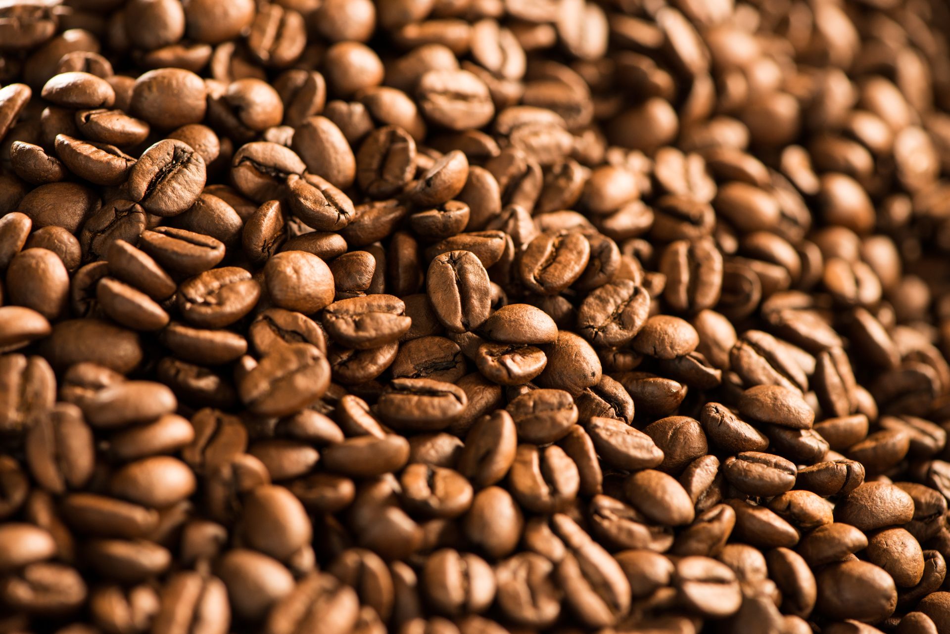 Unser Team Tchibo Coffee Service (Austria)